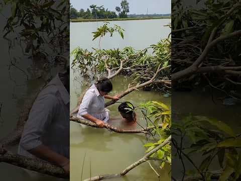 ducking paro save seriously injured cat friend 🐥 #duckrescue #cuteanimals #animalrescue