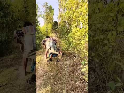 ducking save seriously injured cat #duckrescue #cuteanimals  #animalrescue