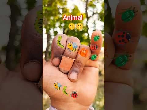 is wel beetle 🪲 🐞 or Chrysochroa is a genus of "uniqueanimal #bug #insects #animals #animal #insects