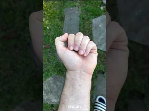 Unbelievable Animal Transformation 🐺🔥 | Before & After #cuteanimals #wildanimals #animals