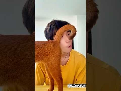 ফু দাও😁cute animals funny reactions video #funny #shorts #animals