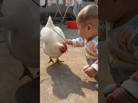 Baby Tries to Howl Like a Husky... And the Husky Answers🐶👶😍😂#shorts#cute #animals