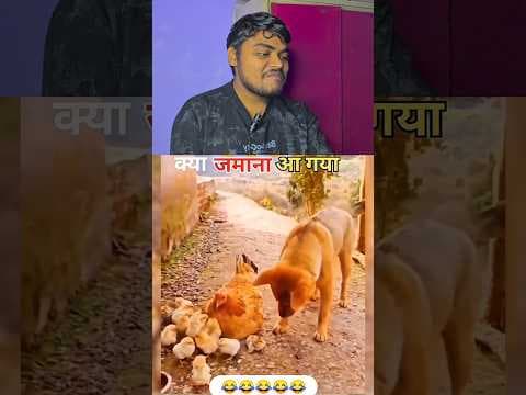 Dog bhai Pyar Me 🤣 #funnyanimal #funnyanimals #cuteanimals #animals #funny #pets #funnypet #animal