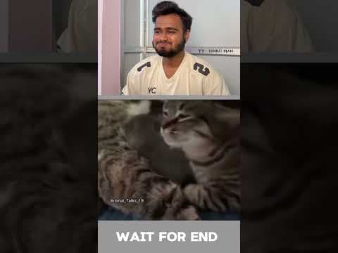 Tu kon hai re 🤣#funnyanimal #funnyanimals #cuteanimals #animals#funny #pets #funnypet #animallove