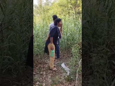 A disabled duckling helps his cat friend 🐥#duckrescue #cuteanimals #animalrescue