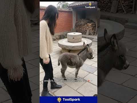 This Tiny Cute Donkey Has Ninja Kicks 😆🫏💥#Tiny  #CuteDonkey #FunnyDonkey #Donkey