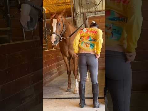 ducking save seriously injured cat #duckrescue #cuteanimals #animalrescue