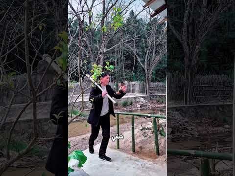 البيبي جوّه البامبو!