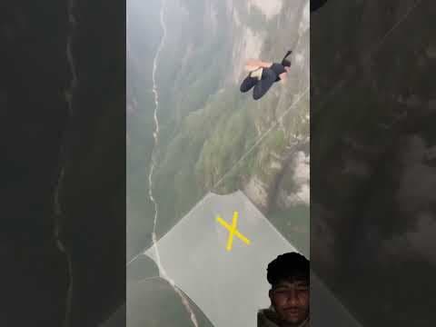 Ducking saves seriously injured cat🐥#duckrescue #cuteanimals  #animalrescue #animalshorts #animals