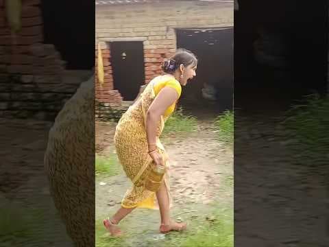 ducking save seriously injured cat #duckrescue #cuteanimals  #animalrescue