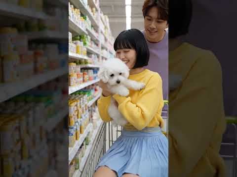 The Smallest Puppies Ever?! Teacup Dogs 🐶✨ #cuteanimals #shorts #puppy