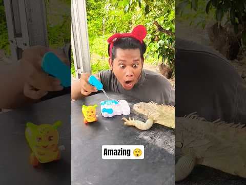 oi oi #funny #trendingshorts #subscribe #cuteanimals #viralshorts #foryoupage #usa