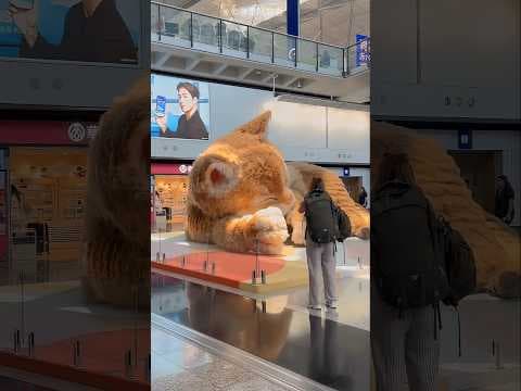 This Mall Has A Giant Cat Security Guard! 😼🛡️