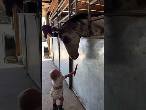 Baby Feeds Giant Horse for the First Time 🥕🐴 | Cutest Moment Ever #animals #baby #cute #shorts