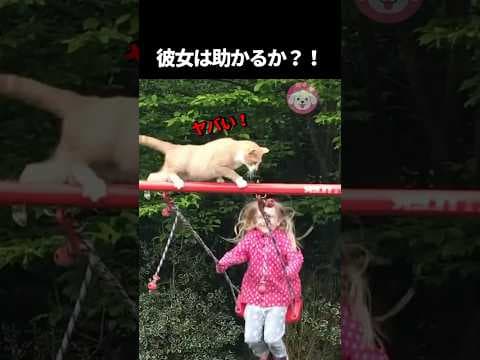 なぜその上を通ろうと思ったのか…猫と娘のパニック映像