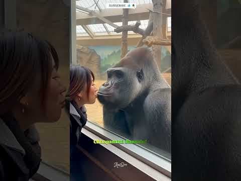 Wdyt about cute animals like this?