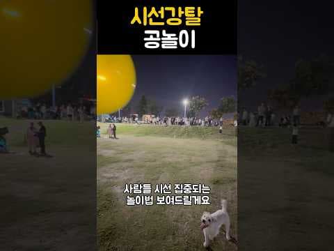 이거만 하면 사람들 모여듬