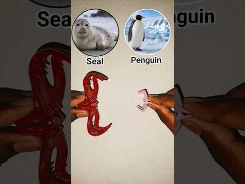 The cute animals seal and penguin #shorts
