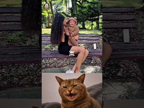 🤣 #cat #reelschallenge #jumpstyle #relatable #trending #funny